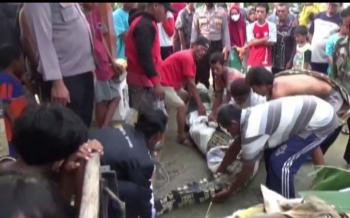 Geger, Warga Temukan Buaya Muara 4 Meter di Ketapang Lampung Selatan